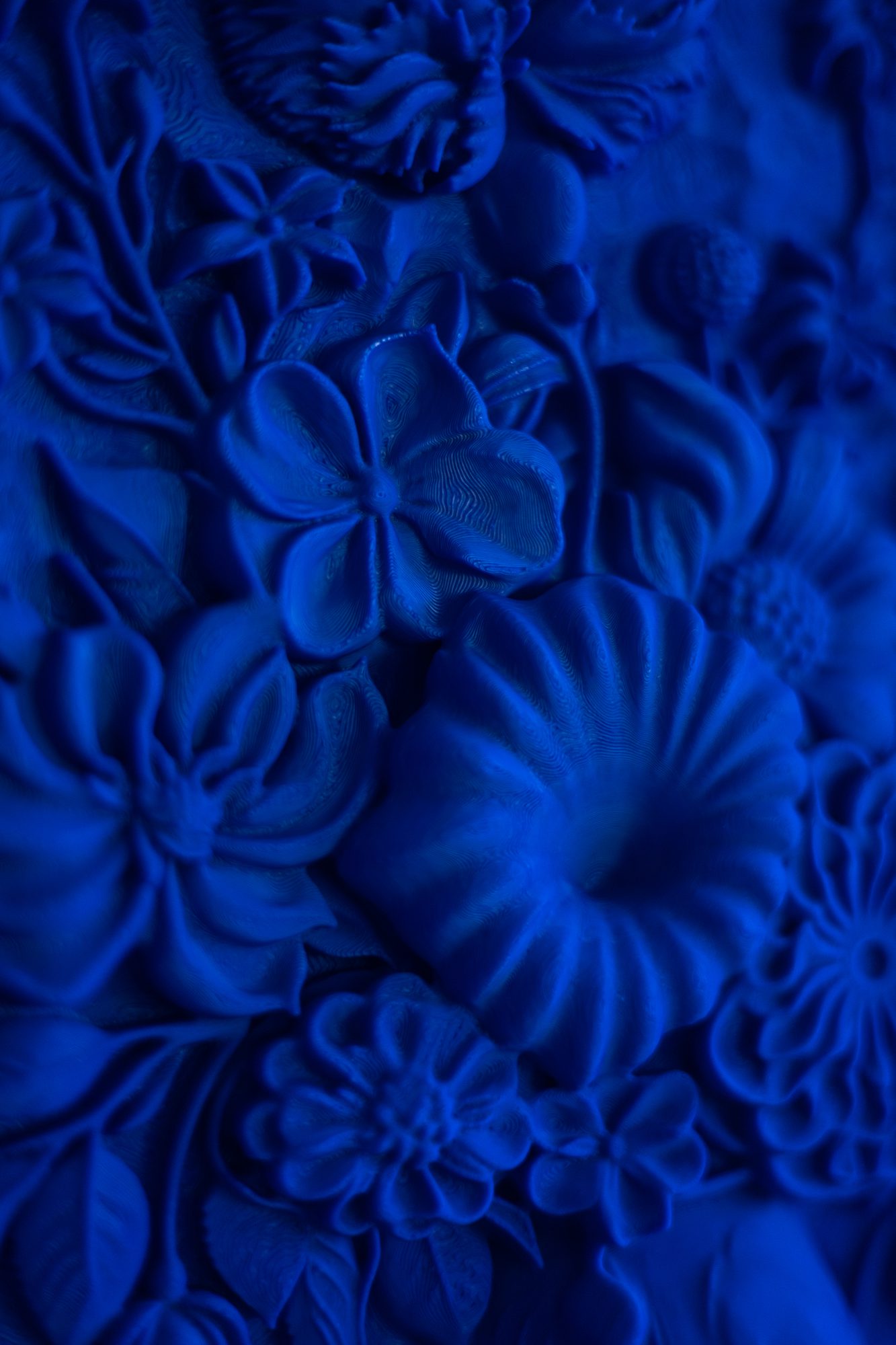 Flowers, Close detail